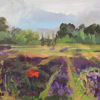 New Forest Lavender