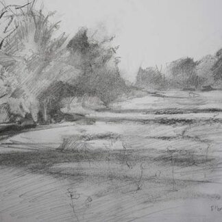 Meadows Pencil And Charcoal
