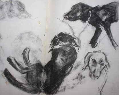 Dogs In Charcoal